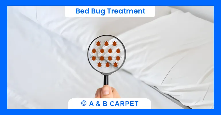 Bed bug extermination brooklyn ny